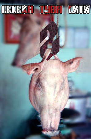 gei.jpg