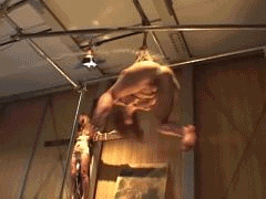 1272403181747.gif