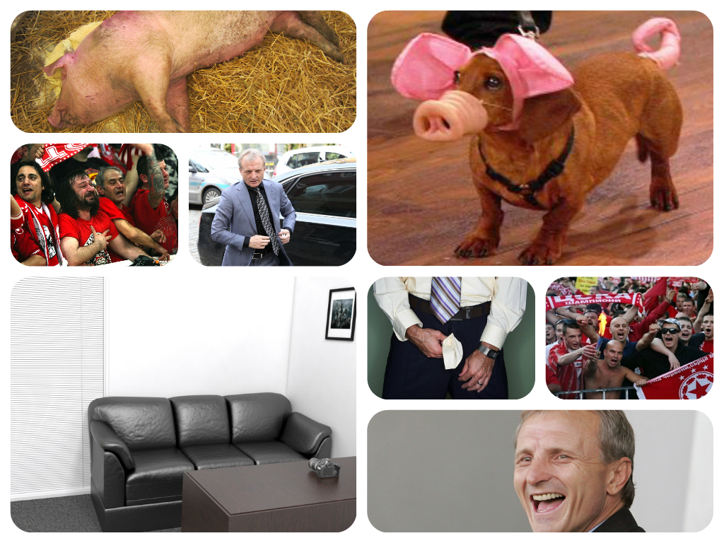 Collage.jpg
