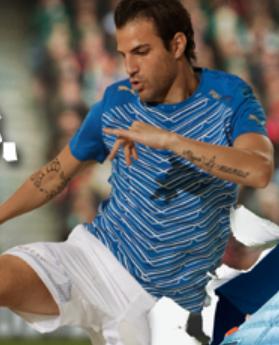 puma1.jpg