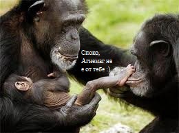 images.jpg