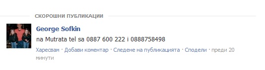 23165497.jpg
